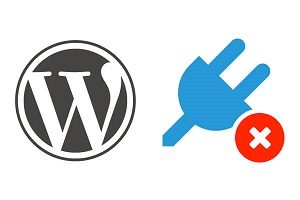 Disable Scripts and Plugins on Specific Pages and Posts in WordPress
