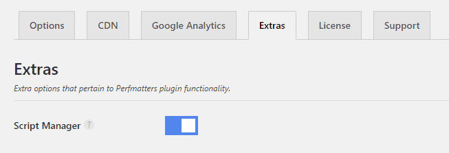 Enable Script Manager in Perfmatters for WordPress